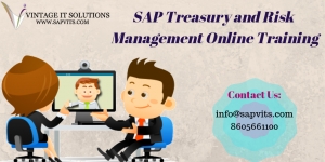 SAP Treasury and Risk Management Training | SAP TRM Training